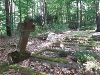 Leśna nekropolia w Kadynach