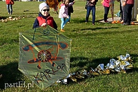 Dmuchawce, latawce, wiatr…