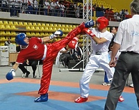 Durma ze srebrem (kickboxing)