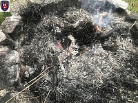 Dwa tysiące grzywny za spalanie odpadów