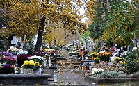 Dwie elbląskie hieny