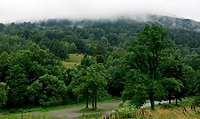 Dzień Ziemi