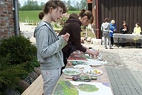 Ekologiczny plener