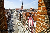 Elbląg częścią pomorskiej metropolii?