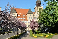 Elbląg zrywa współpracę z rosyjskimi i białoruskimi miastami partnerskimi