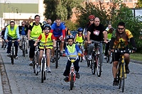 Elbląski Alleycat