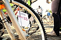Elbląski Alleycat już w czerwcu