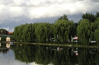 Elbląski camping nagrodzony!