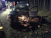 Fiat uderzył w drzewo