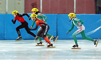 Finał sezonu z bogactwem medali (short-track)