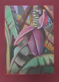 Flora Ziemi Świętej oczami Mariny Norkin