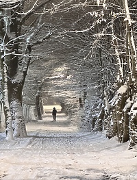 W objęciach zimy Fotką Miesiąca