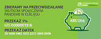 Fundusz Grantowy ESWIP