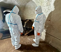 Wuj Kopernika poszukiwany