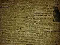 Grzyb ten jest trujący