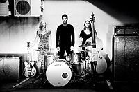 Hedvig Mollestad Trio w trasie!