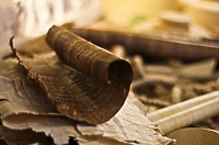 „Historia Biblii i rozwoju piśmiennictwa” na wystawie w bibliotece