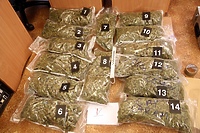 Hurtownia marihuany pod Elblągiem