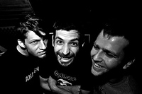 In-Sane w Jaszczurze