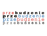 Instalacja Grzegorza Drozda w ramach „Przebudzenia”