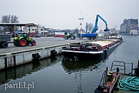 Interwencja w sprawie odpraw fitosanitarnych