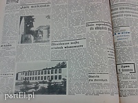 Jak szkoda