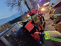 Jechał bez uprawnień, uderzył w drzewo (aktualizacja)