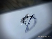 Strzelał w puszki, a trafiał w szyby. Teraz odpowie przed sądem