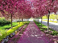 Jest sobota, jest quiz. Majowe zagadki