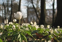 Jest sobota, jest quiz. Nadchodzi wiosna!