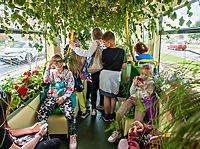 Jest sobota, jest quiz. Zielony Elbląg