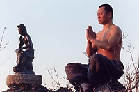 Wiosna, lato, jesień, zima... i wiosna