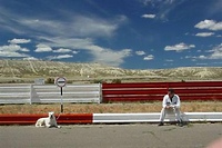 Kino konesera: Bombon - El Perro