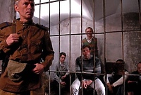 My cichociemni. Głosy żyjących