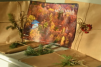 Kalendarz portEl.pl pełen dobrych dni