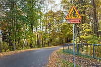 Kamery policzą rowerzystów