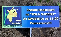 „Kartka nadziei” Dominiki Bogdanowicz