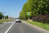 Kierowca: "Żywopłot przy tym przejściu ogranicza widoczność"