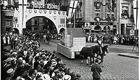 Dawno temu w Elblągu...konie rozbiły latarnię uliczną