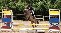 Piastowiada 2010