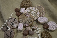 „Kreator familijny” - zajęcia w Cyberiadzie