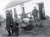 Echa "wypadków gryfickich" w Elblągu