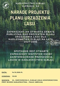 Leśnicy zapraszają na debatę publiczną