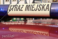 Likwidacja straży miejskiej jako przedmiot referendum gminnego (analiza)