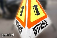 Łoś wpadł pod policyjny motocykl