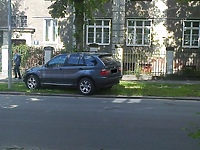 "Łosie na drodze". Kolejne zdjęcia od naszych Czytelników