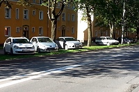 "Łosie na drodze": Tak parkują przy Brzeskiej