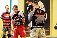 Seminarium z mistrzem (kickboxing)