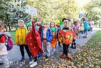 Marsz żywności przejdzie ulicami miasta