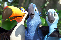 Multikino: Rio